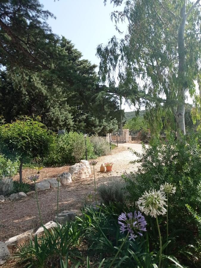 Dimora Dalia - Puglia Mia Apartments Monopoli Kültér fotó